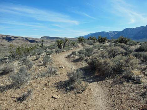 Moenkopi Trail