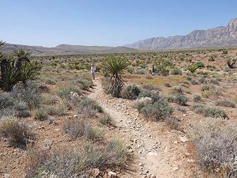 Moenkopi Trail