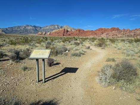 Ride Share Deluxe Loop Trail