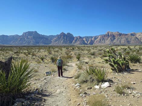 Ride Share Deluxe Loop Trail