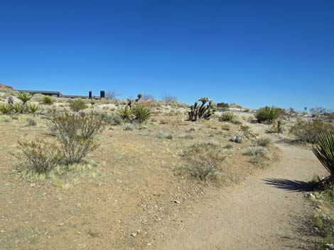 Ride Share Deluxe Loop Trail