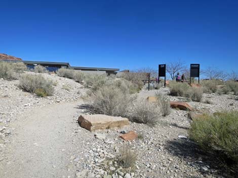 Ride Share Deluxe Loop Trail