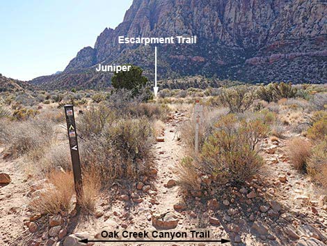 Oak Creek Canyon Trail