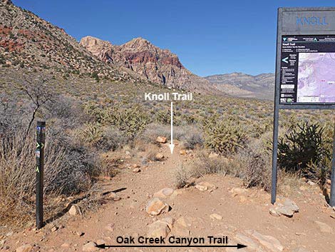 Oak Creek Canyon Trail