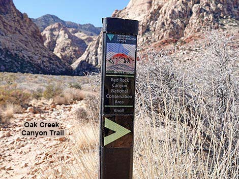 Oak Creek Canyon Trail