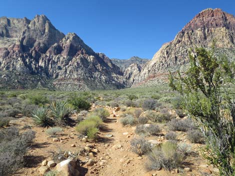 oak creek canyon