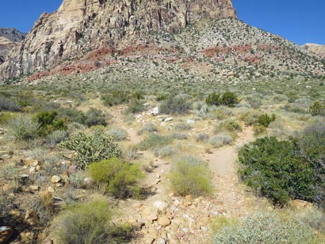 oak creek canyon