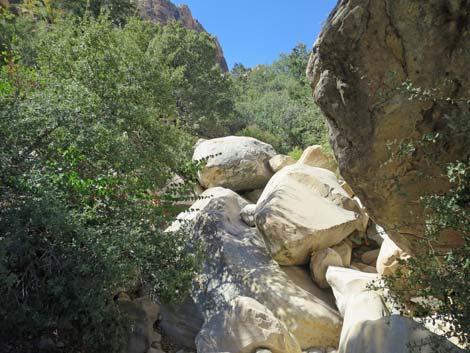 oak creek canyon