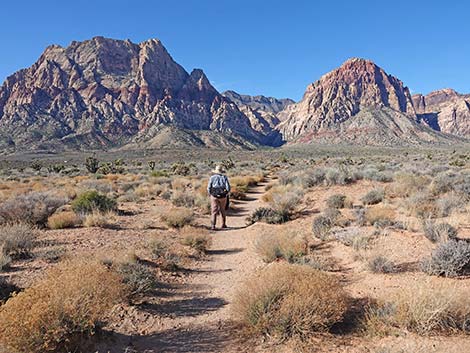 Oak Creek Cutoff Trail