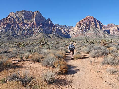 Oak Creek Cutoff Trail