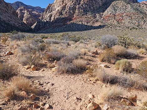 Middle Oak Creek Trail