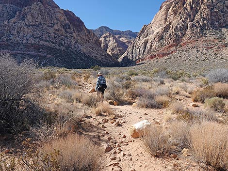 Middle Oak Creek Trail