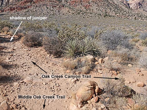 Middle Oak Creek Trail