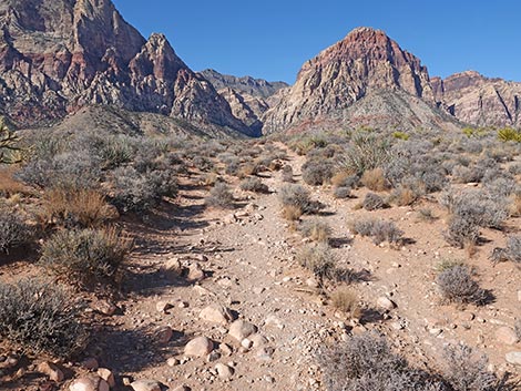 Middle Oak Creek Trail