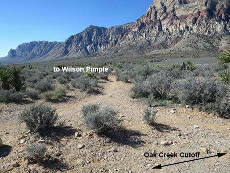 Oak Creek Cutoff Trail