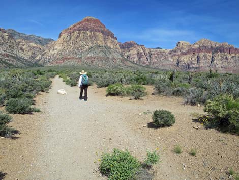 Middle Oak Creek Trail