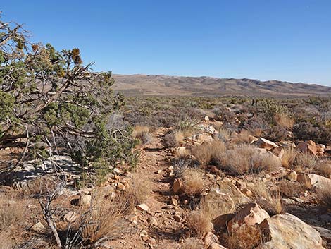 Middle Oak Creek Trail