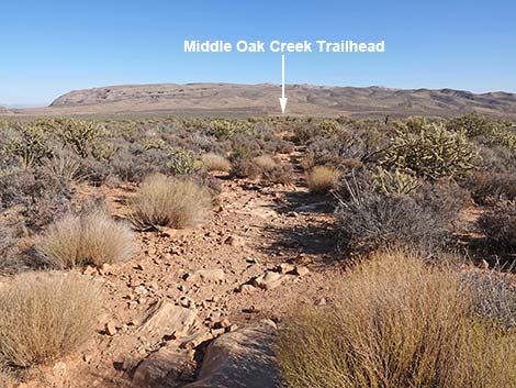 Middle Oak Creek Trail