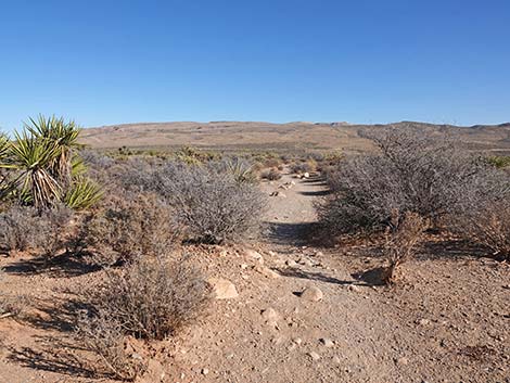 Middle Oak Creek Trail