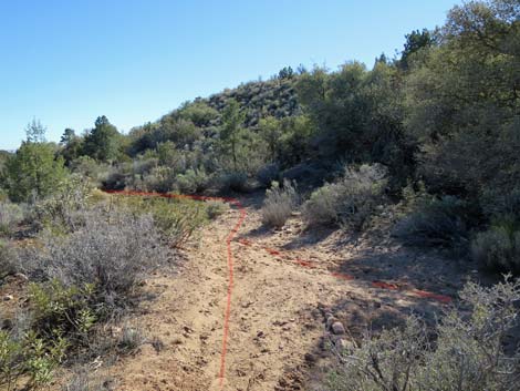 South Oak Creek Trail