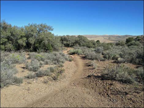 South Oak Creek Trail