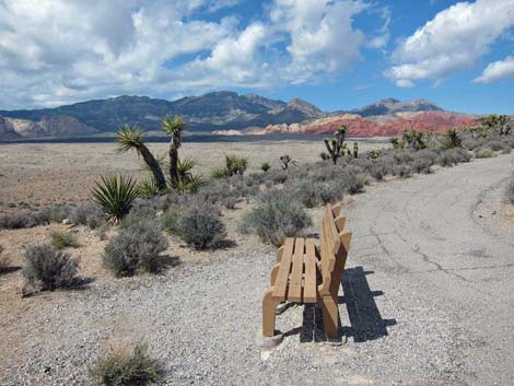 Overlook Trail