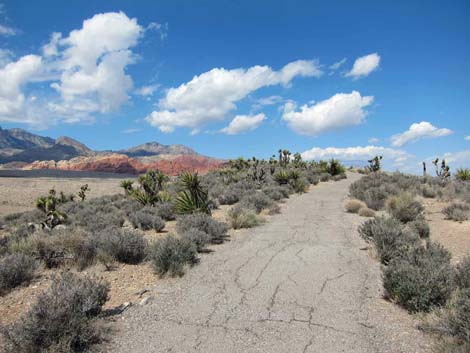 Overlook Trail