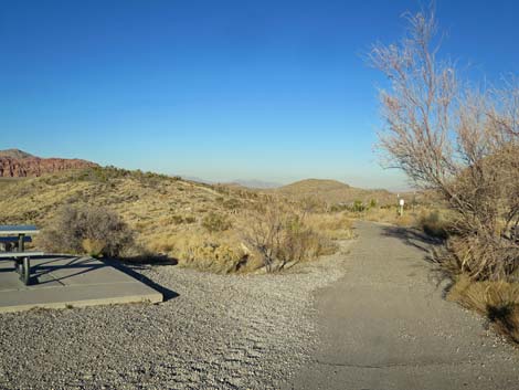 Red Rock Overlook Trail