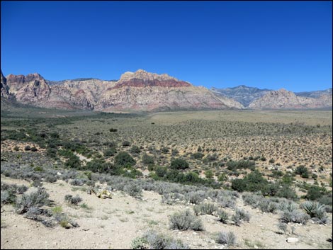 Red Rock Overlook