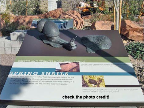 Visitor Center