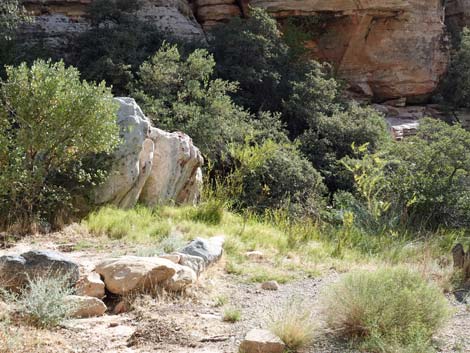 Willow Spring Picnic Area