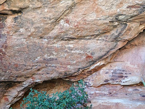 Petroglyph Wall Trail