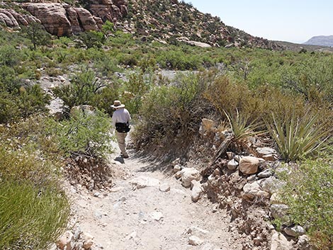 Petroglyph Wall Trail