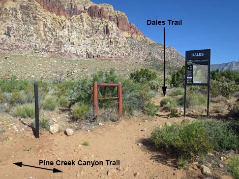 Pine Creek Canyon Trail