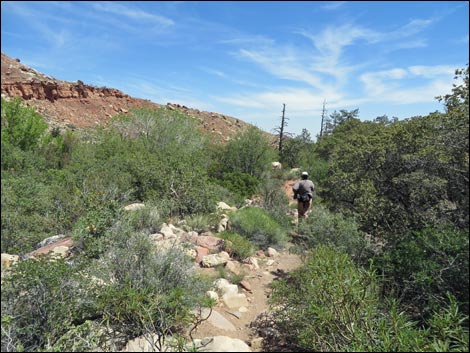 Pine Creek Trail