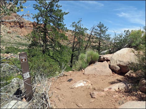 Pine Creek Trail