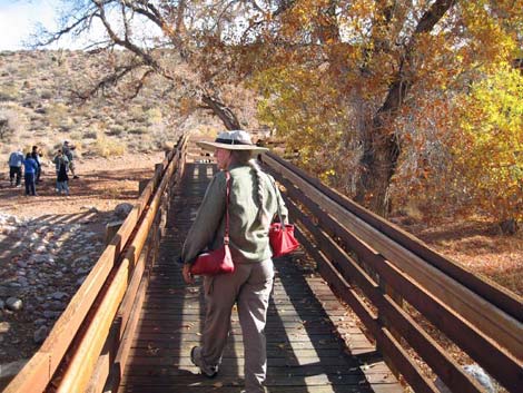 Red Spring Boardwalk