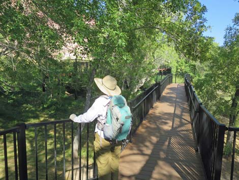 Red Spring Boardwalk