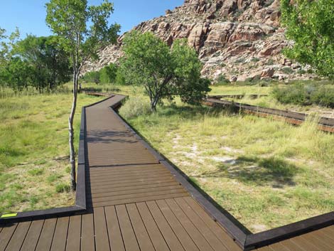 Red Spring Boardwalk