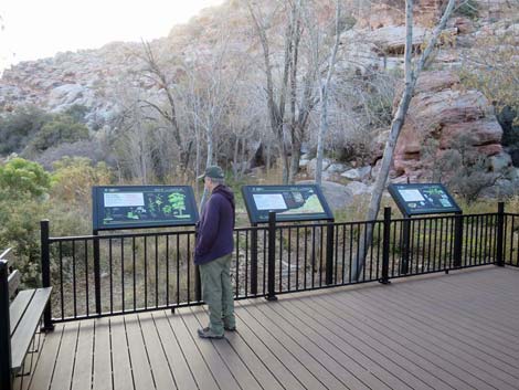 Red Spring Boardwalk