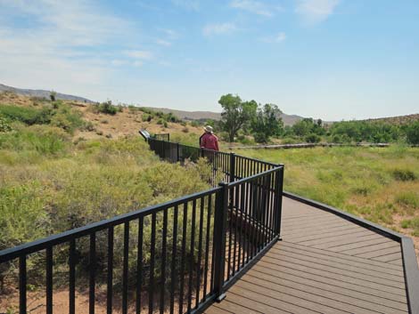 Red Spring Boardwalk