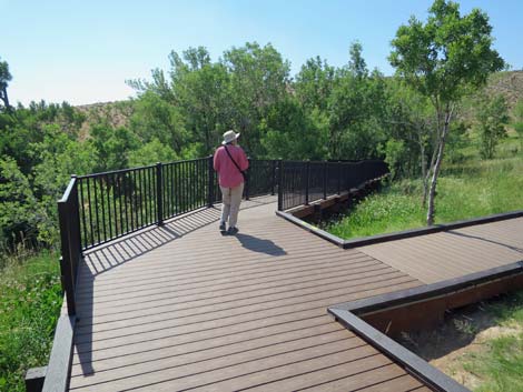 Red Spring Boardwalk