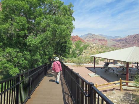 Red Spring Boardwalk