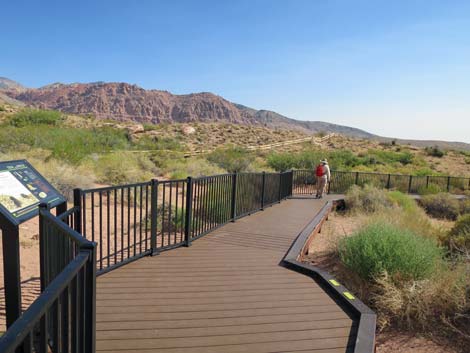 Red Spring Boardwalk Trail