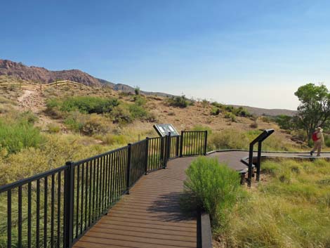 Red Spring Boardwalk Trail