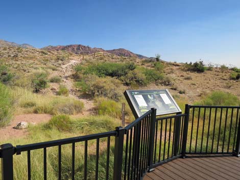 Red Spring Boardwalk Trail