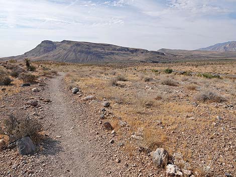 Ride Share Deluxe Loop Trail