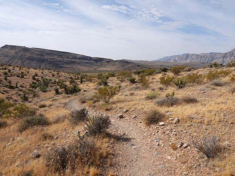 Ride Share Deluxe Loop Trail