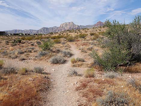 Ride Share Deluxe Loop Trail