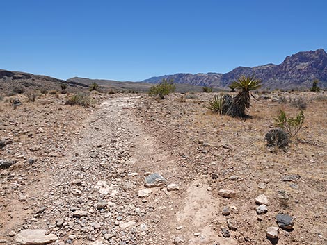 Ride Share Deluxe Loop Trail